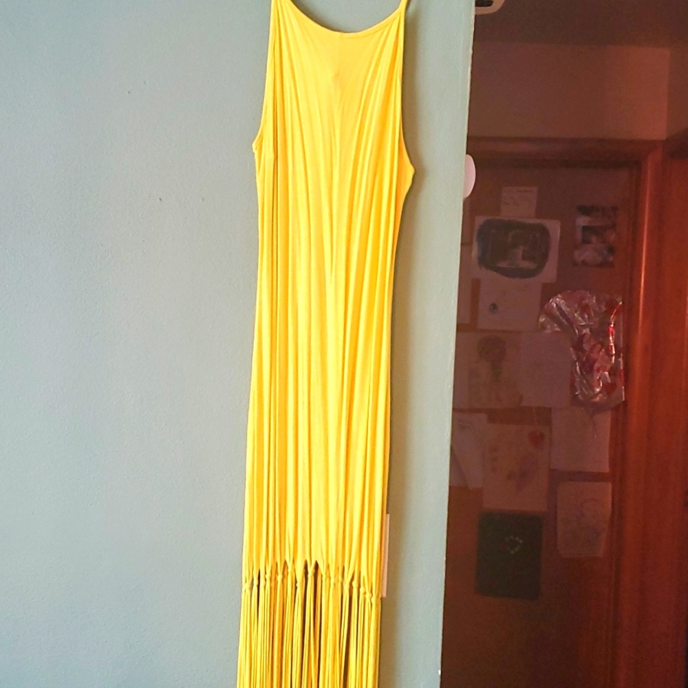 Fun carwash/fringe dress